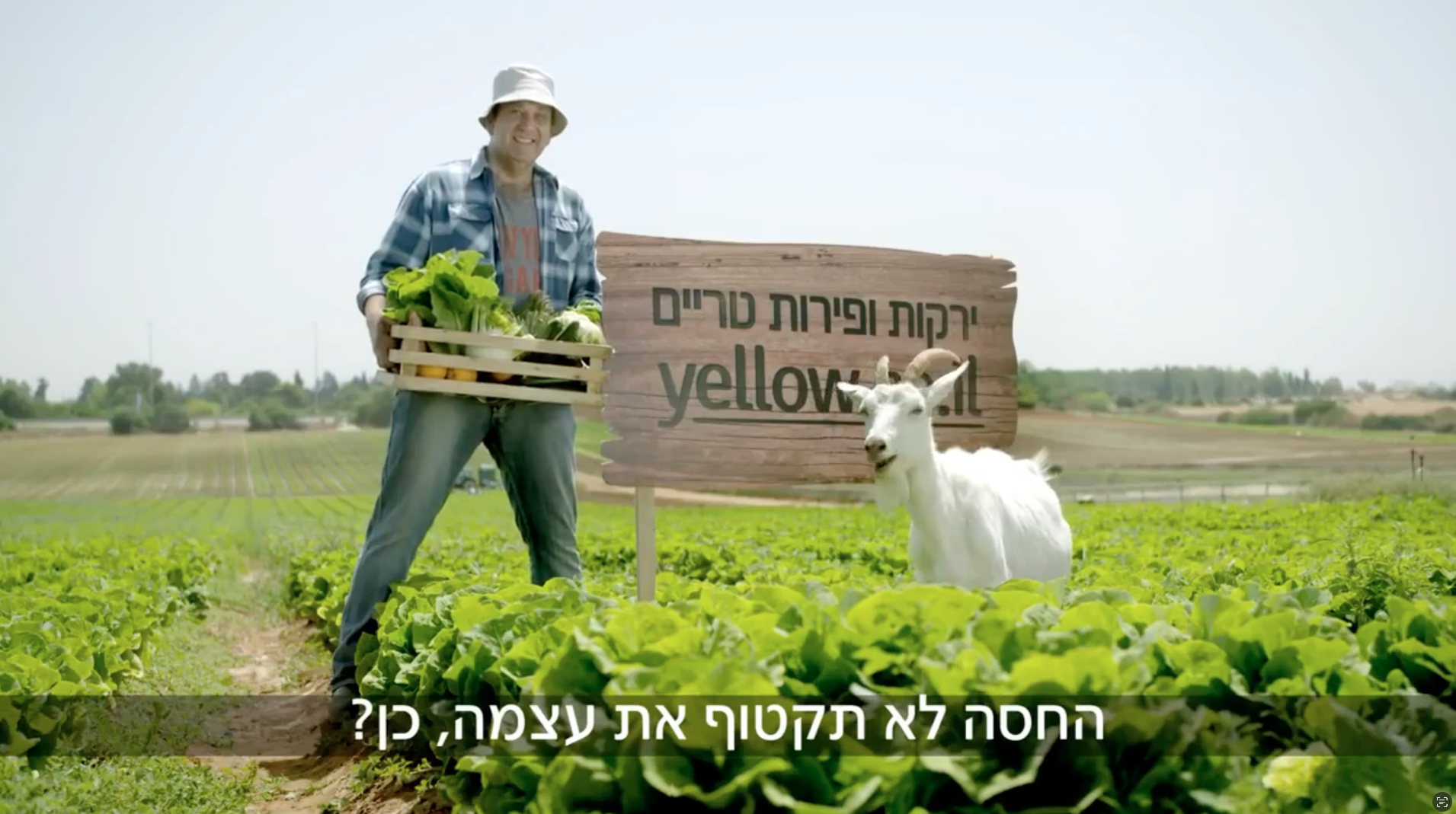 campaign — case study